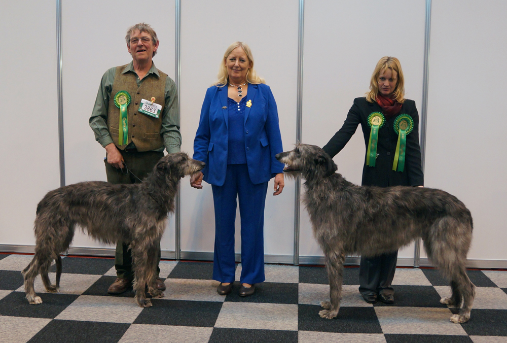 Crufts 2013 CC Winners